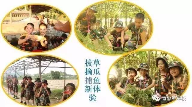 乐进拓展：在体验式培训热潮中激扬积极活力