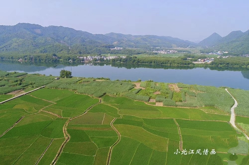菜园
