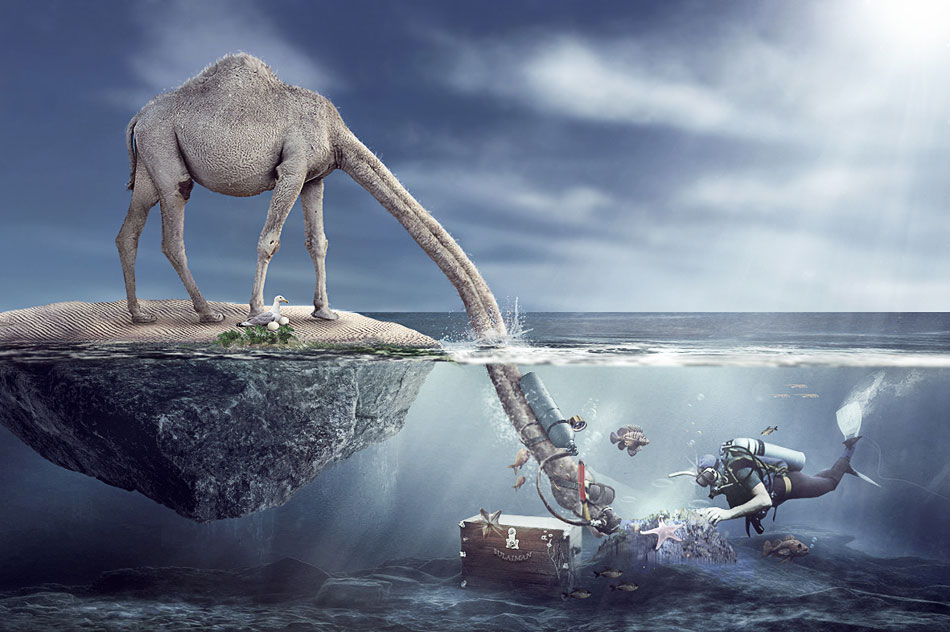 乐进赋能，共启团建新篇章——英德吉水山庄的团队成长之旅