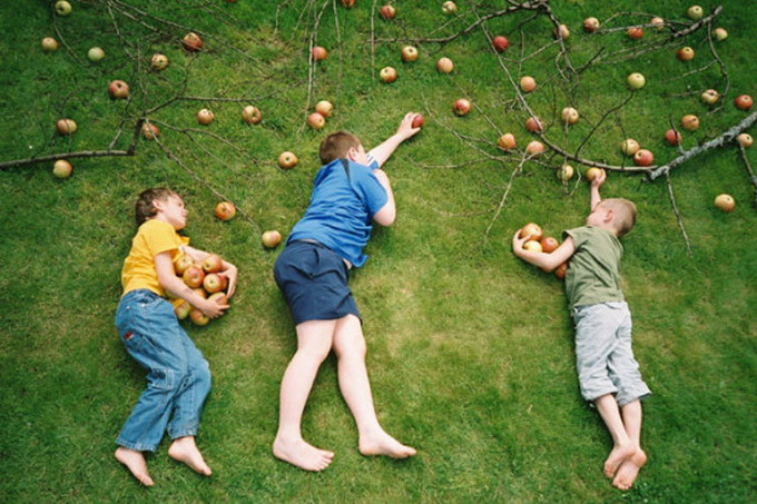 乐进拓展：解锁自然团建秘境，英德吉水山庄等你来探！